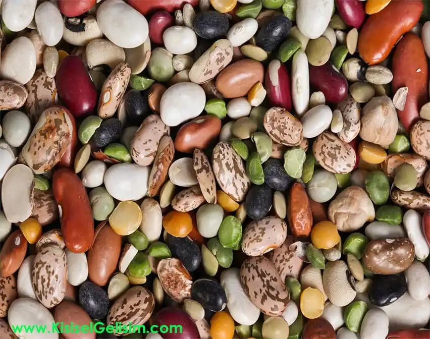 Fasulyeyi Daha Lezzetli Hale Getirmenin Etkili Yöntemleri ve Pişirme Teknikleri