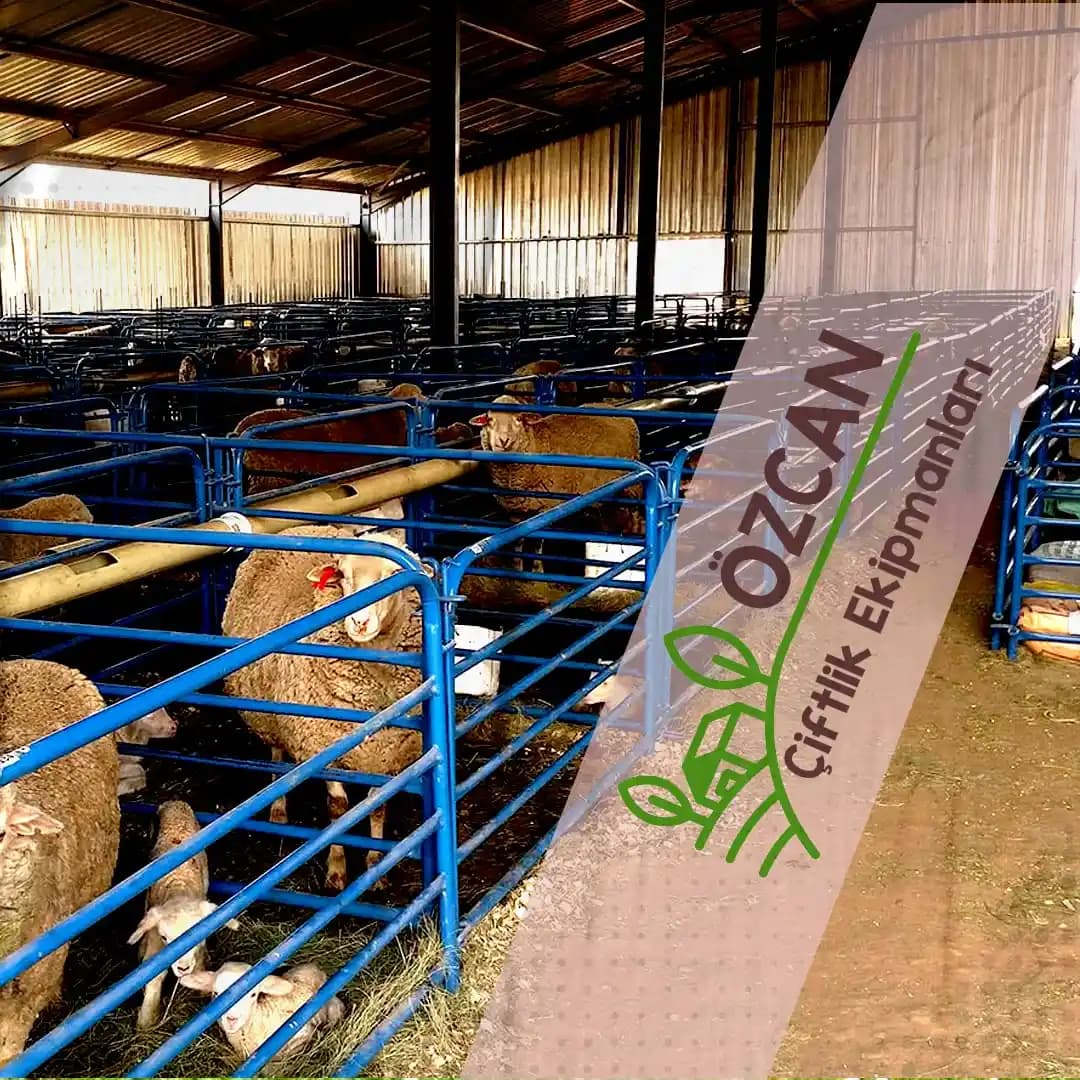 Tractor Supply Ürün Fiyatları ve Alışveriş Stratejileri: Tarım ve Evcil Hayvan Ürünleri Analizi