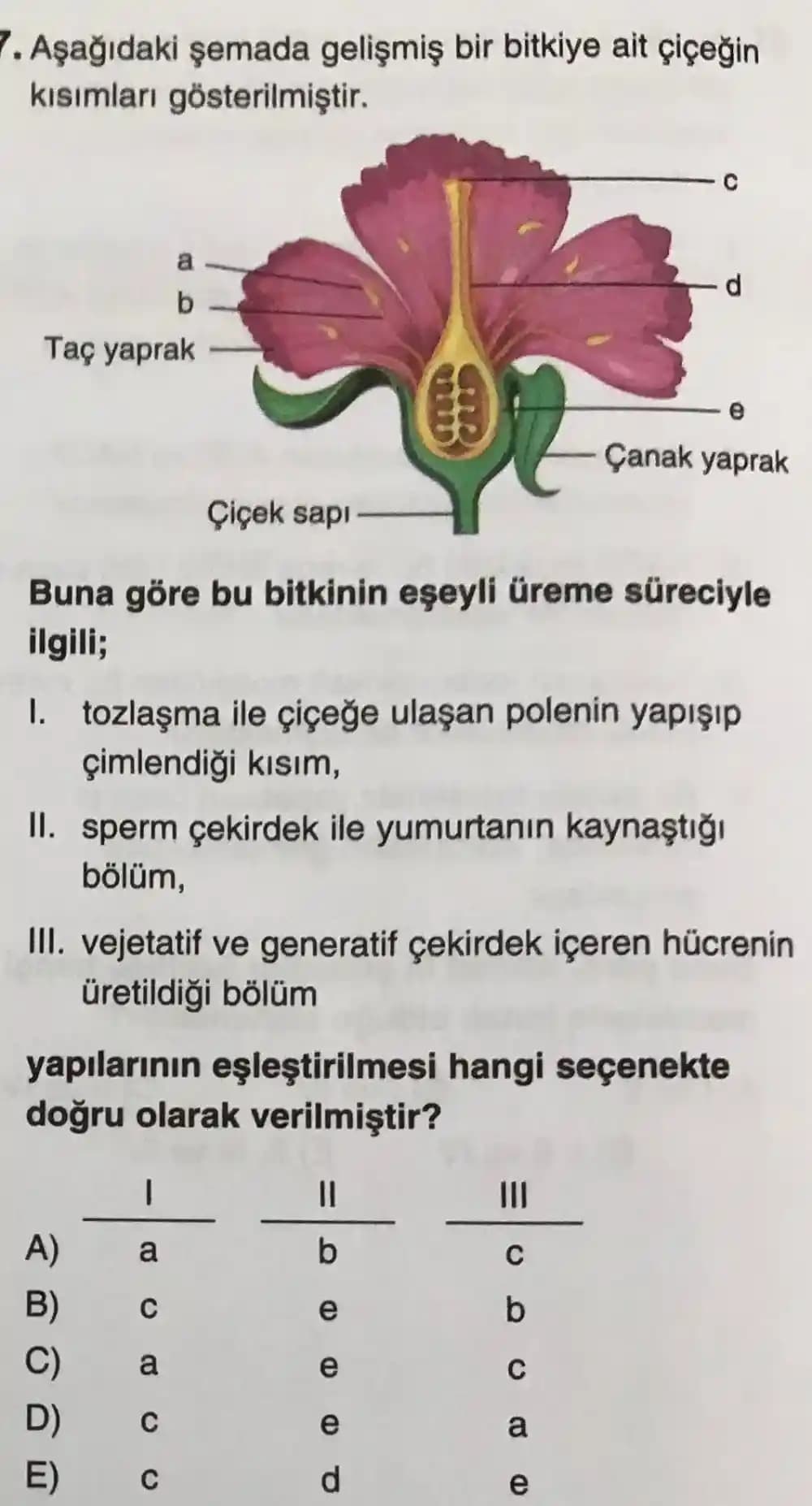Yiyecek Atıklarının Değerlendirilmesiyle Yaratıcı ve Besleyici Tarifler