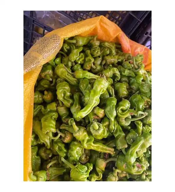 Çermik Biberi Nedir, Özellikleri ve Kullanım Alanları Hakkında Detaylı Bilgi