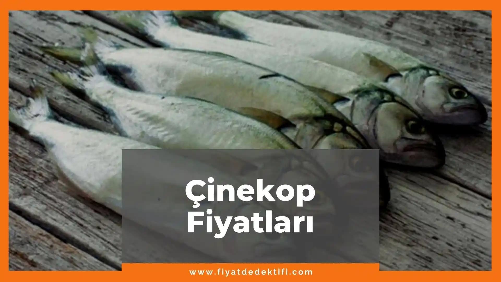 Çinekop Fiyatları ve Güncel Balık Pazarlarındaki Durum Analizi