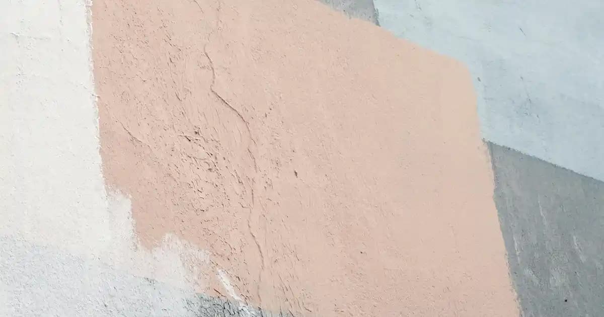 Çörek Otunun Tarihsel Gelişimi ve Günümüzdeki Marketteki Yeri