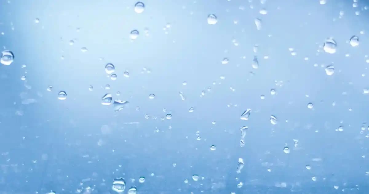 Marketlerde Sosis Alırken Dikkat Edilmesi Gerekenler ve Namet Sosisin Avantajları