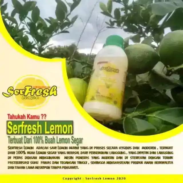 Marketlerde Yenilik: Serfresh Teknolojisi ve Güncel Trendler Analizi