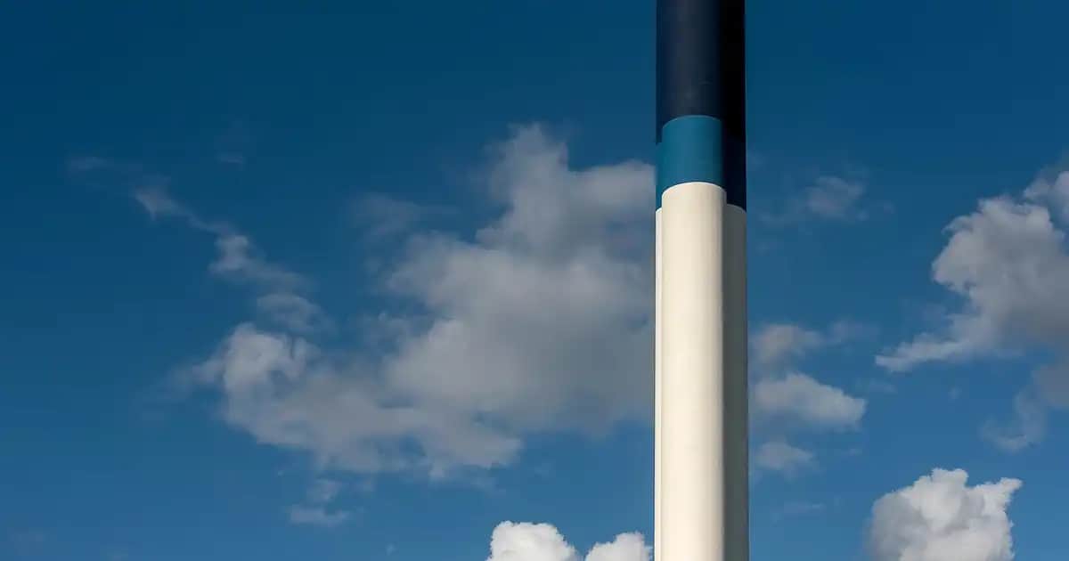 Migros'ta Manda Sütü: Doğal ve Sağlıklı Alternatifler ve Ürün Çeşitleri