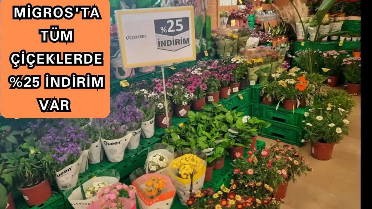 Migrosta Çiçek Fiyatları ve Dekorasyon İçin Uygun Seçenekler Hakkında Kapsamlı Bilgi