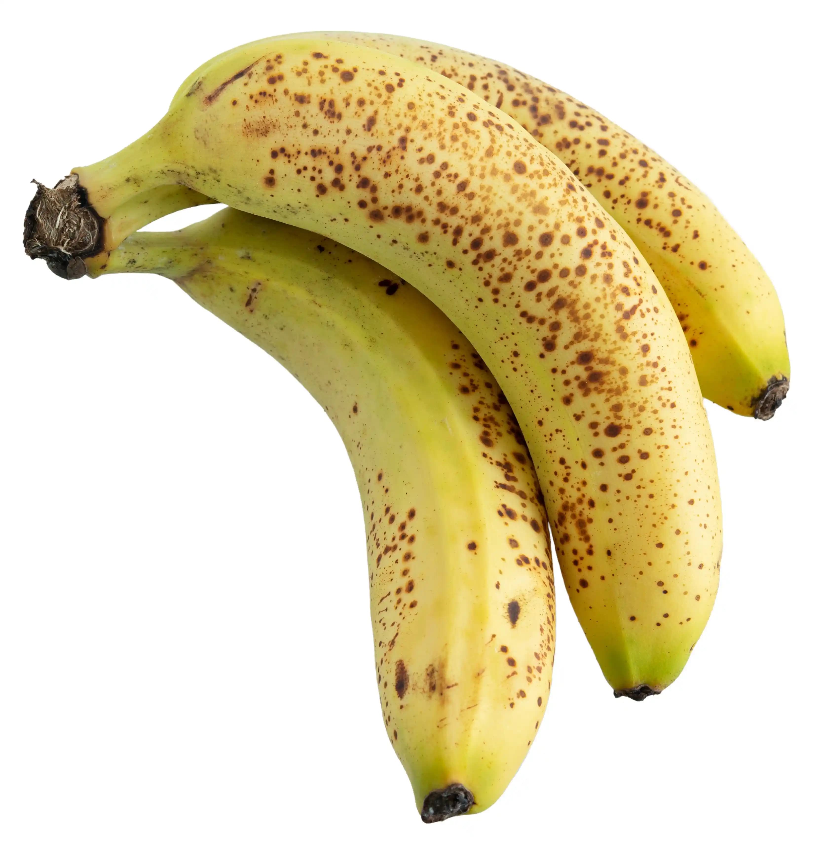 Muzun Besin Değerleri ve Sağlığa Faydaları Hakkında Kapsamlı Bilgi