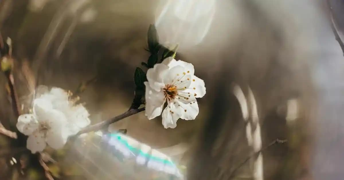 Nescafe Cold Yaz Aylarının Serin ve Lezzetli Favorisi Pratik Soğuk Kahve Seçeneği