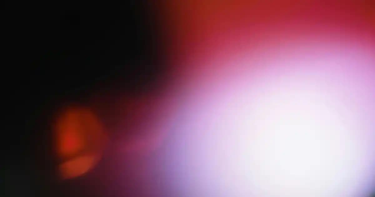 Omo Logosu ve Marka Gücü: Temizlik Sektöründe Tanınırlık ve Güven Unsurları