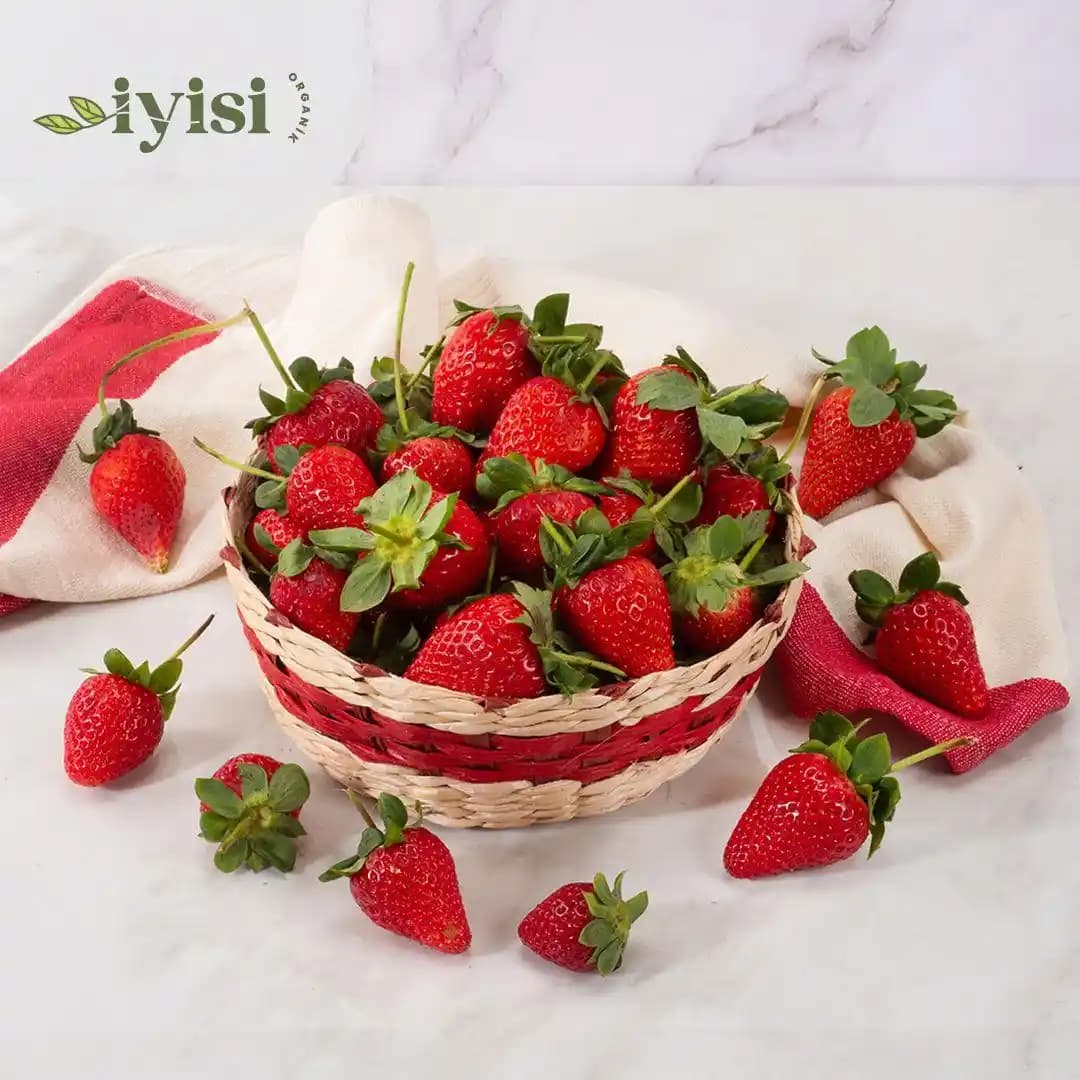 Organik Çileğin Sağlık ve Lezzet Katkılarıyla Marketlerdeki Yeri ve Seçim Rehberi