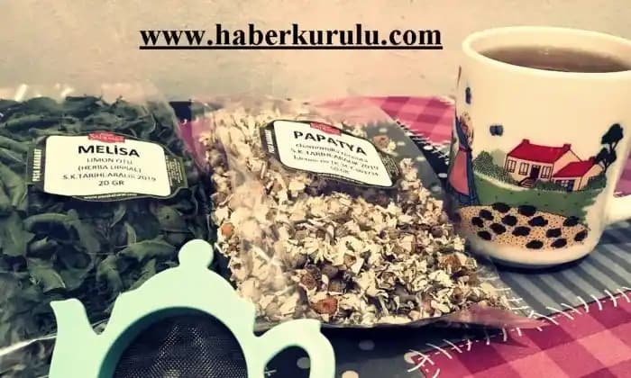 Papatya ve Melisa Çayı: Doğal Şifa Kaynaklarıyla Sağlıklı Yaşam Rehberi