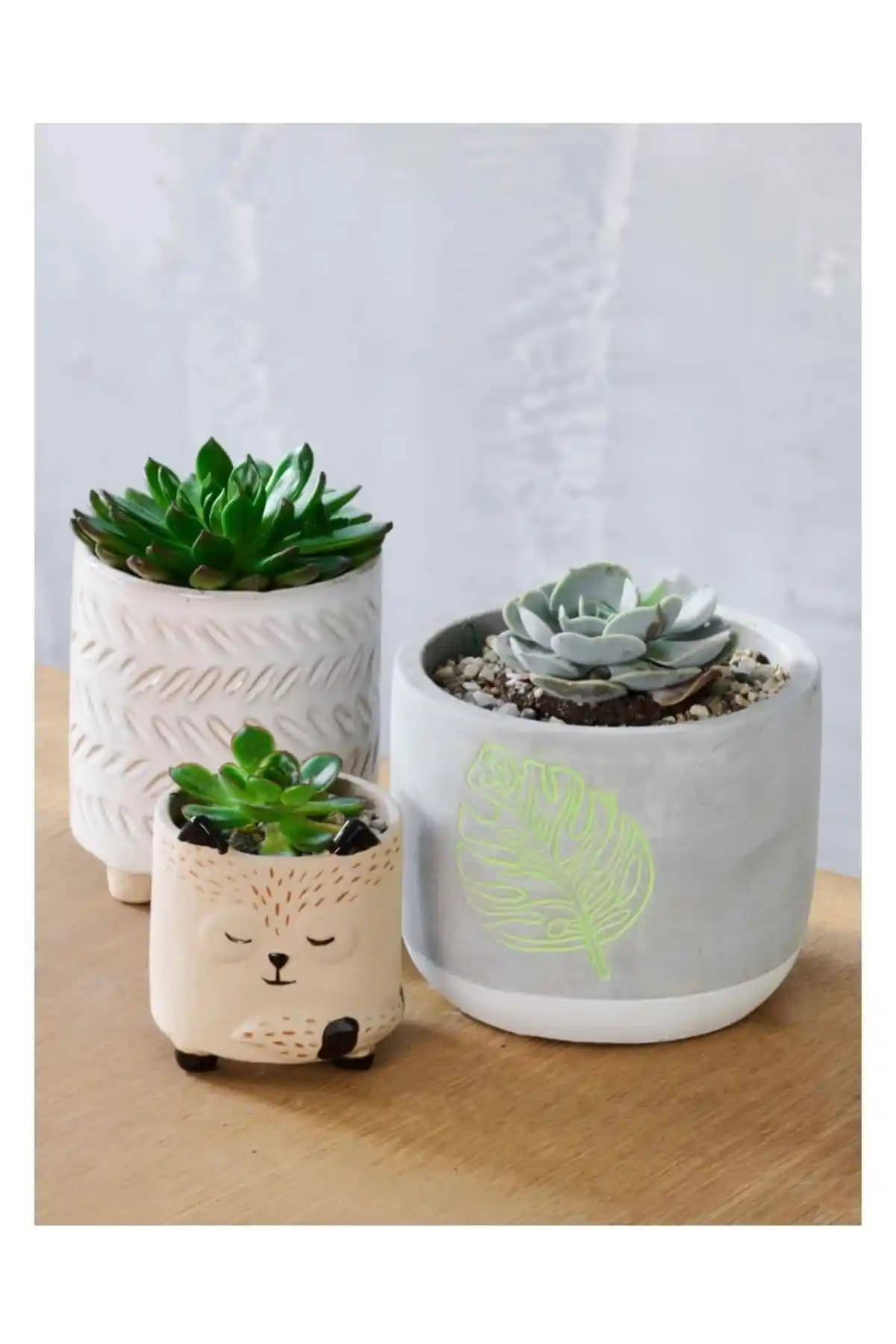 Paşabahçe Cam Saksılar: Estetik ve Dayanıklı Dekorasyon Çözümleri