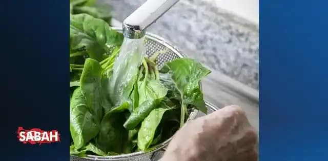 Pazarda Ispanak Fiyatları ve Alışverişte Dikkat Edilmesi Gerekenler