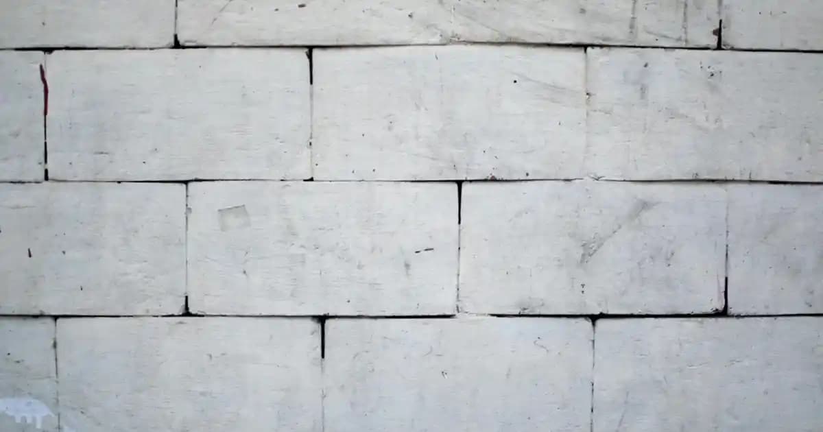 Pirzola Protein İçeriği ve Sağlık Faydaları: Dengeli Beslenme İçin Bilinmesi Gerekenler