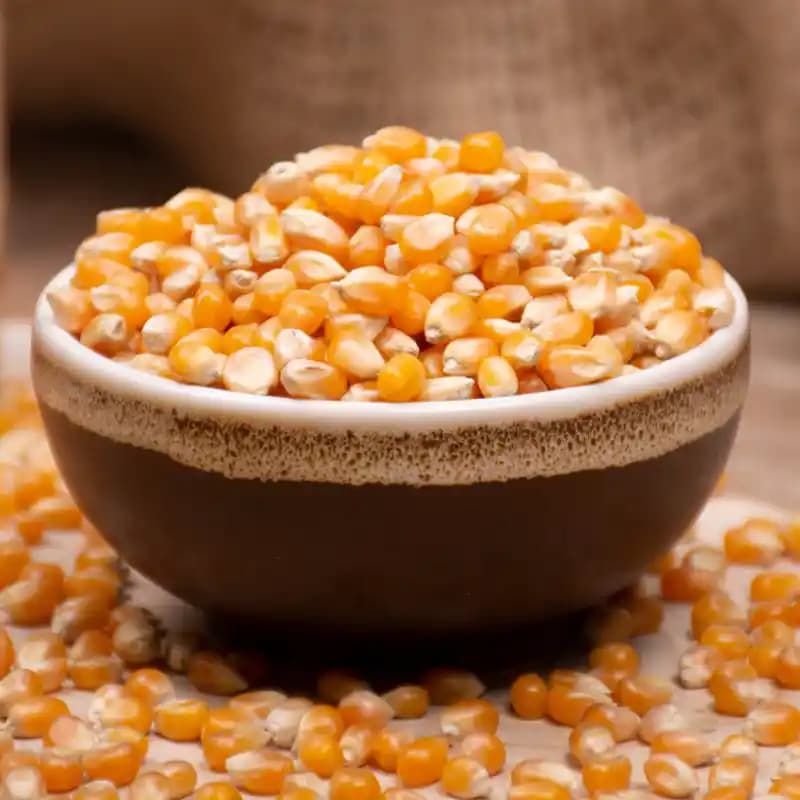 Popcorn Mısır: Sağlıklı ve Lezzetli Atıştırmalıklar İçin En İyi Tarifler ve Alışveriş İpuçları