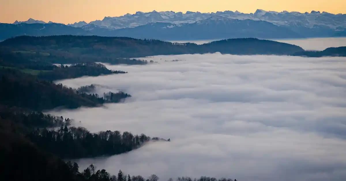 Rexona Musk Deodorant: Günlük Kullanım İçin Ferahlatıcı ve Güven Verici Seçenek