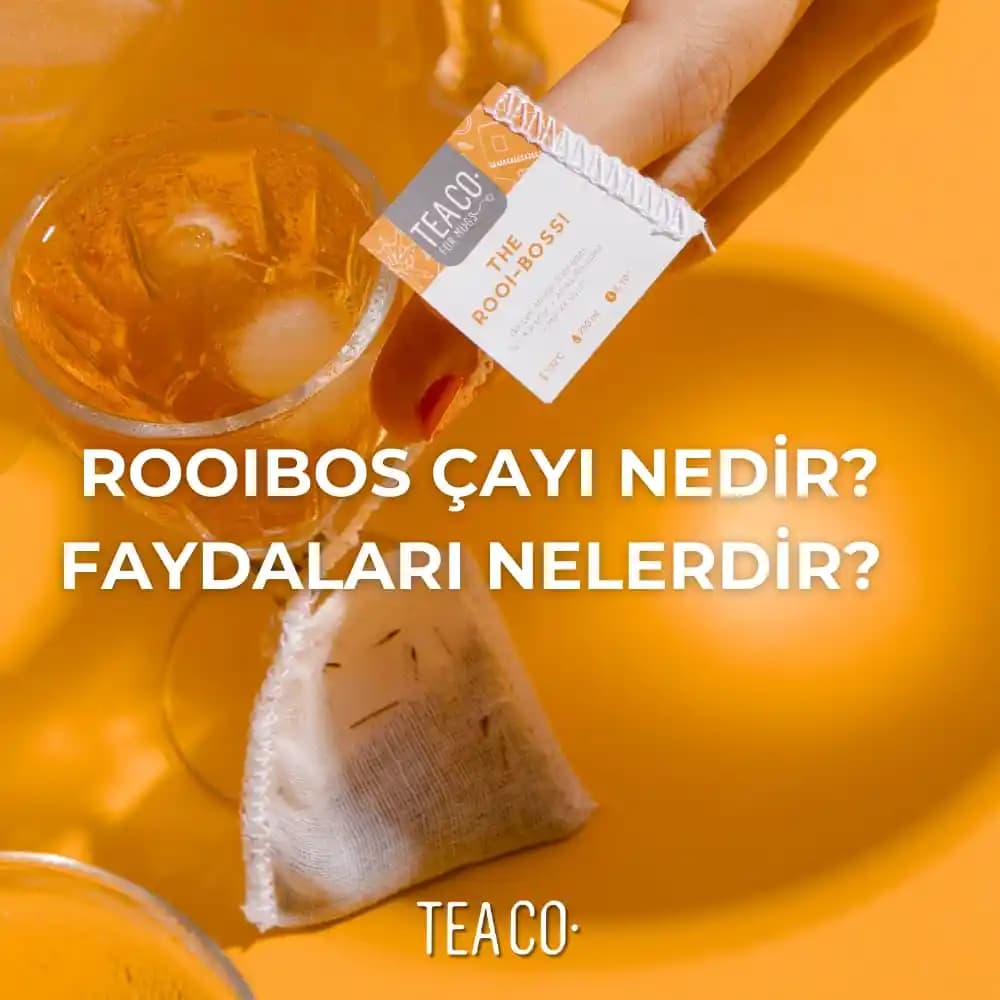 Roybos Çayı Nedir ve Sağlık ile Lezzet Sunan Doğal Bir Bitki Çayı