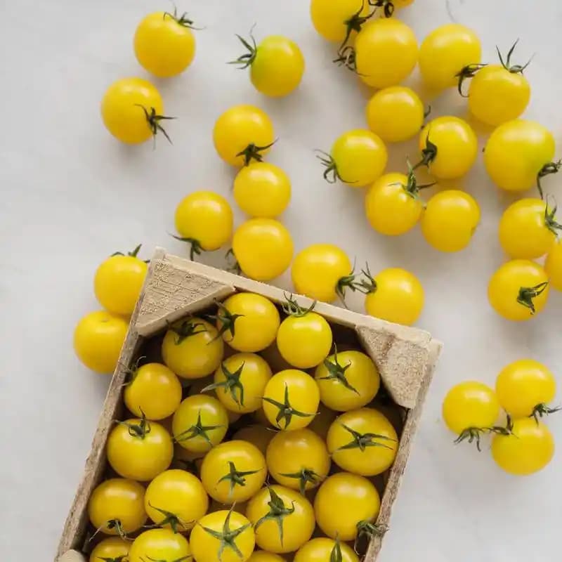 Sarı Çeri Domatesi Nedir, Faydaları ve Kullanım Alanları Hakkında Detaylı Bilgi