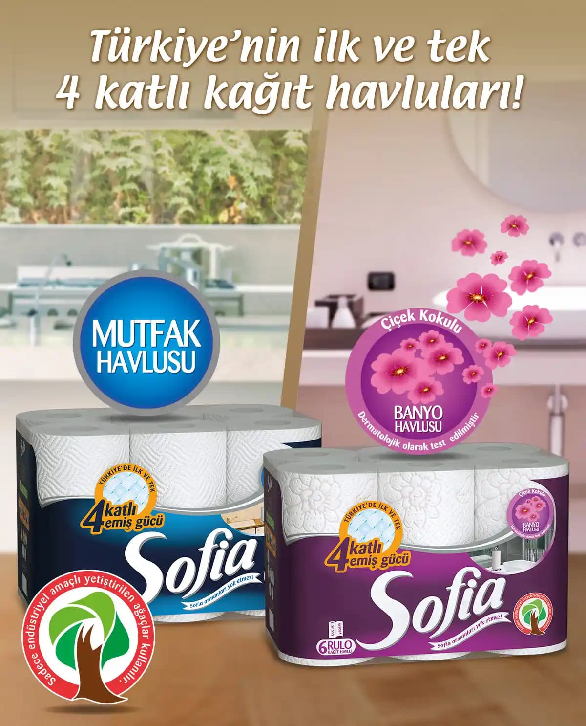 Sofia Kağıt Havlu 12'li Paketleri: Ekonomik ve Pratik Temizlik Çözümleri