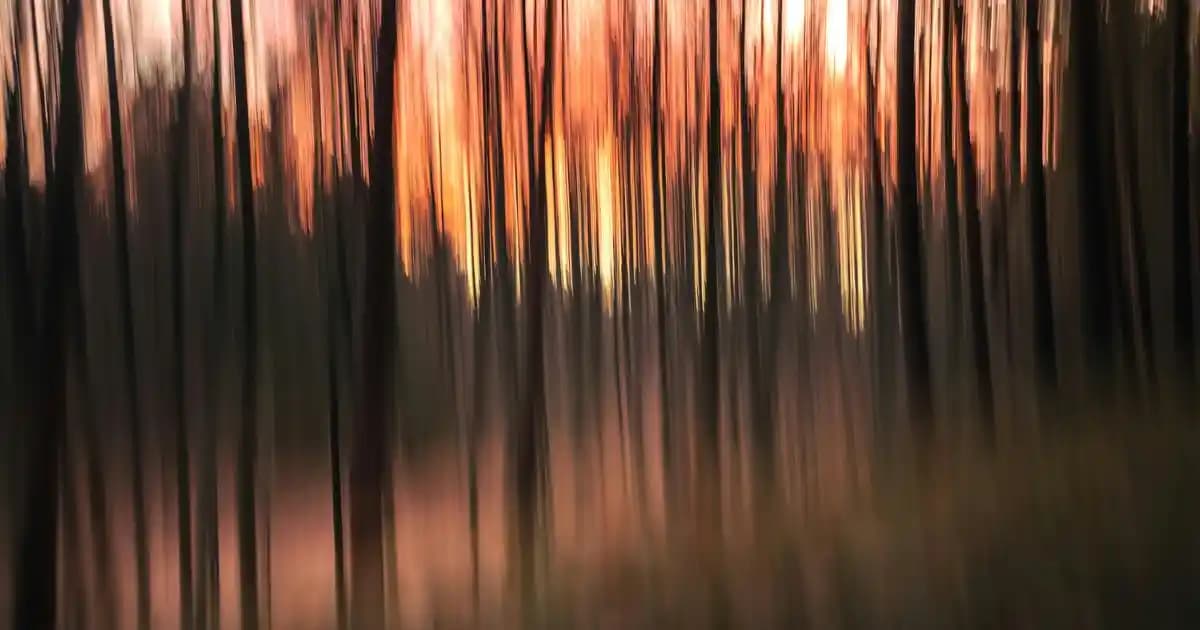 Süpermarketlerde Bulunan Tulu Porselen Fincan Takımı: Şıklık ve Dayanıklılık Bir Arada