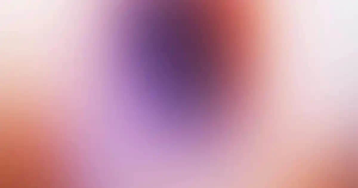 Supermarketlerde Popüler ve Kaliteli Şarap Seçenekleri Hakkında Kapsamlı Rehber