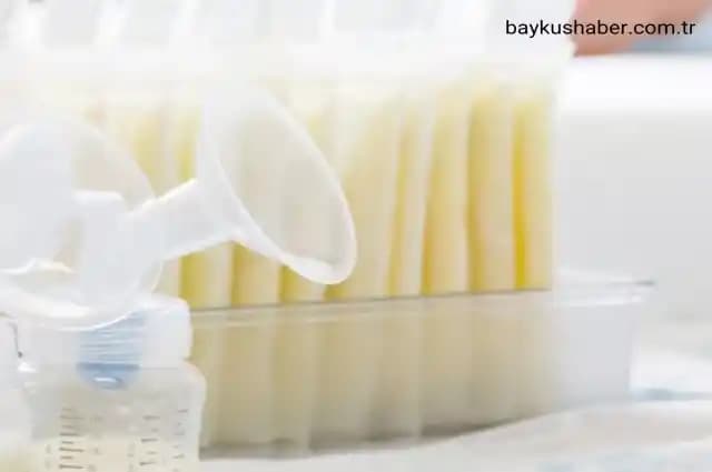 Süt Saklama Poşetleri Kullanımı ve Doğru Saklama İpuçları Hakkında Kapsamlı Rehber