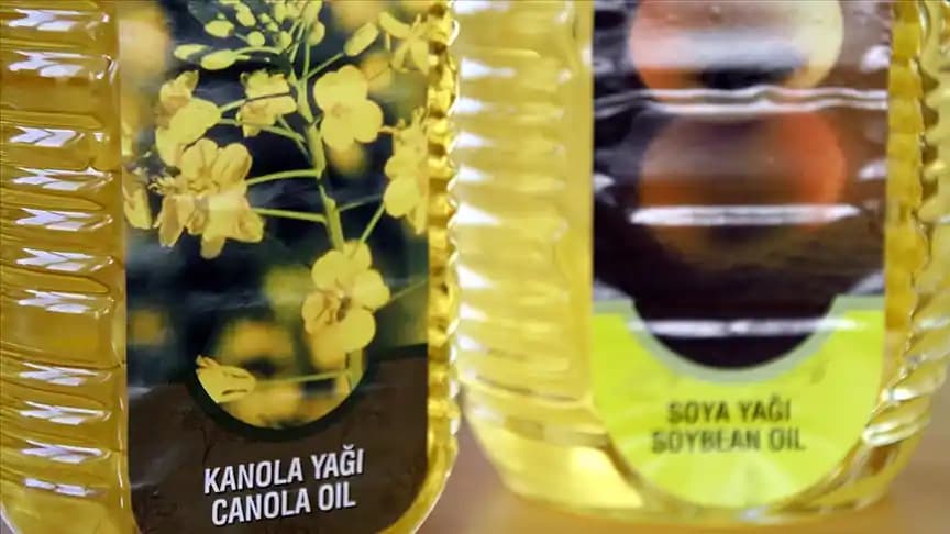 Tohum Yağlarının Faydaları ve Kullanım Alanları Sağlıklı Yağlar Rehberi