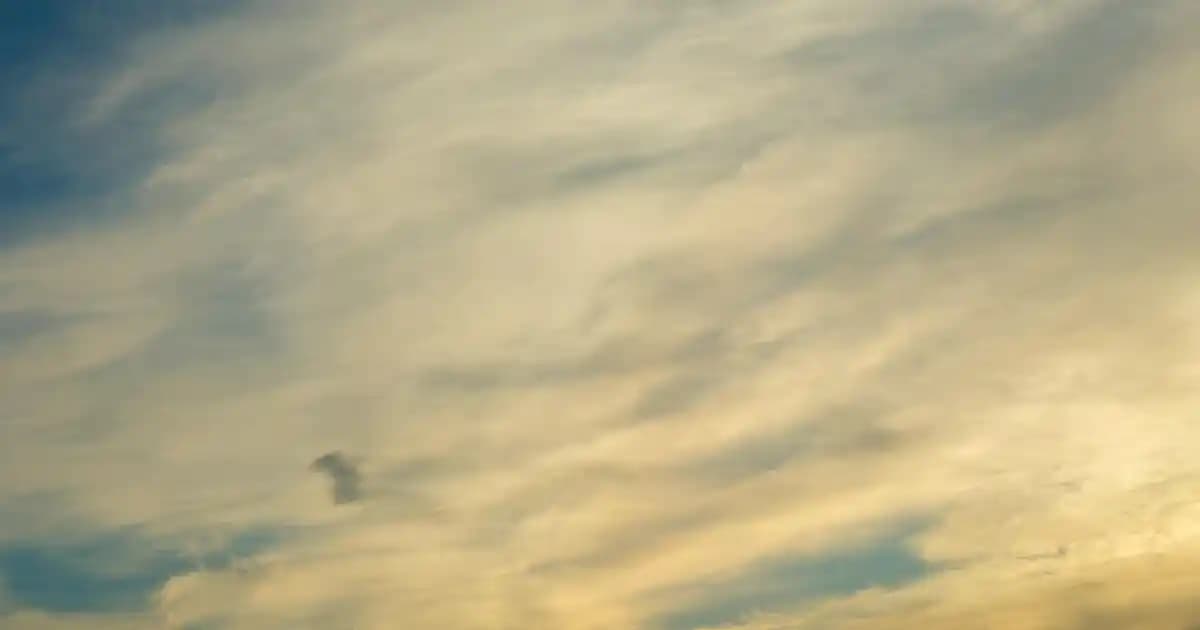 Trüf Mantarlı Makarna Tarifleri ve Yapım İpuçlarıyla Lezzetli Sunumlar