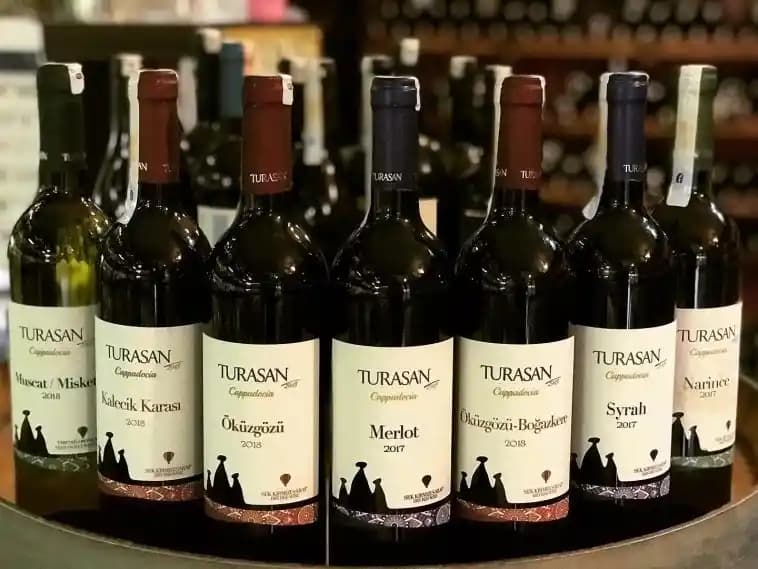 Türk Şarap Markaları ve Zengin Çeşitliliği: Kalite ve Geleneklerin Buluştuğu Nokta