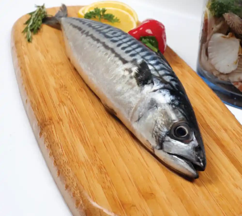 Uskumru Fiyatları Güncel Durum ve Piyasa Analizi Türkiye'de Balık Pazarındaki Trendler