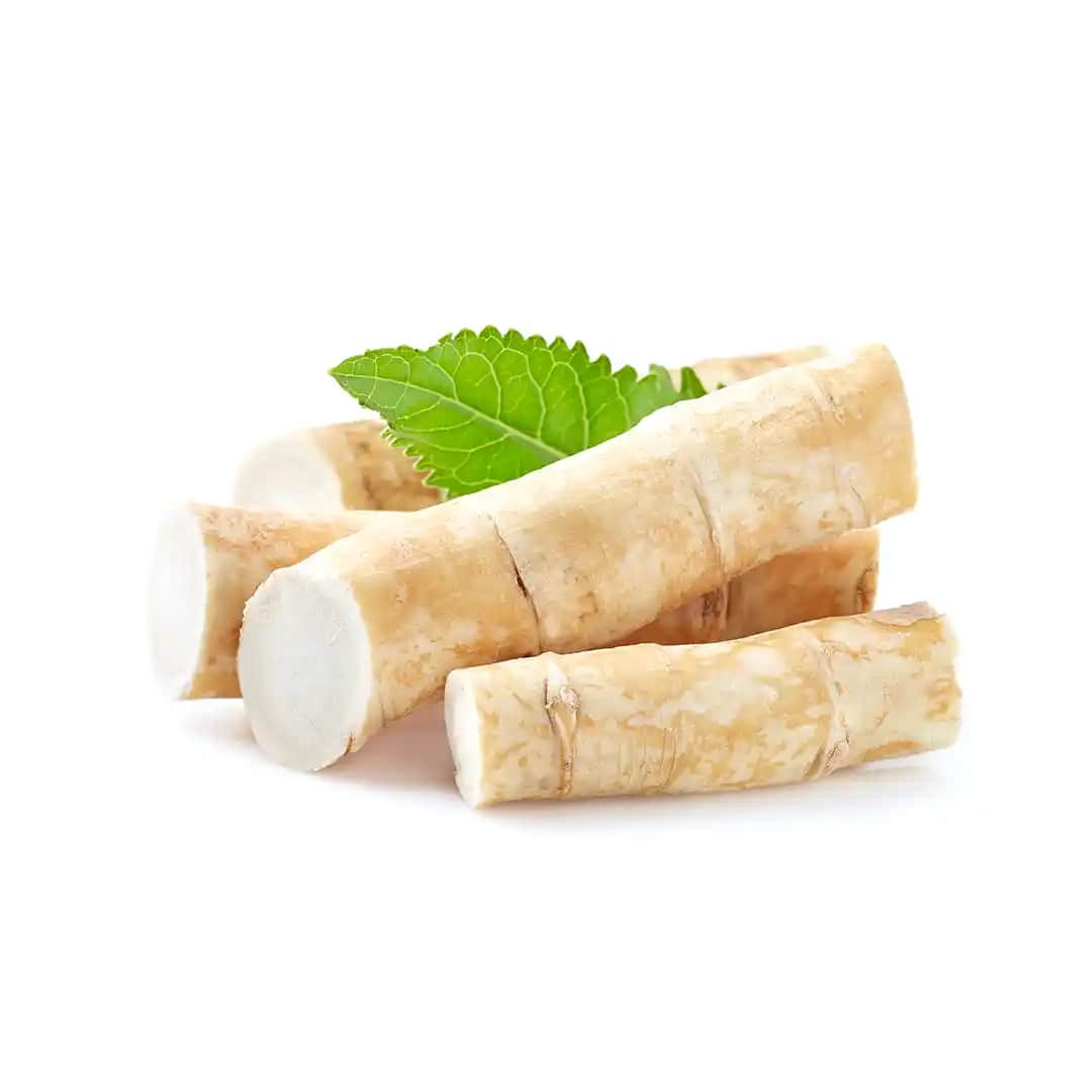 Yaban Türbü Nedir, Nedenleri ve Tedavi Seçenekleri Hakkında Bilgiler