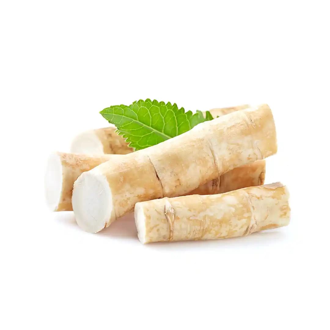 Yaban Türbü Nedir, Nedenleri ve Tedavi Seçenekleri Hakkında Bilgiler