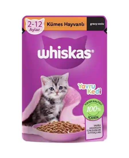 Yavru Kedi Maması Seçerken Dikkat Edilmesi Gerekenler ve En İyi Markalar