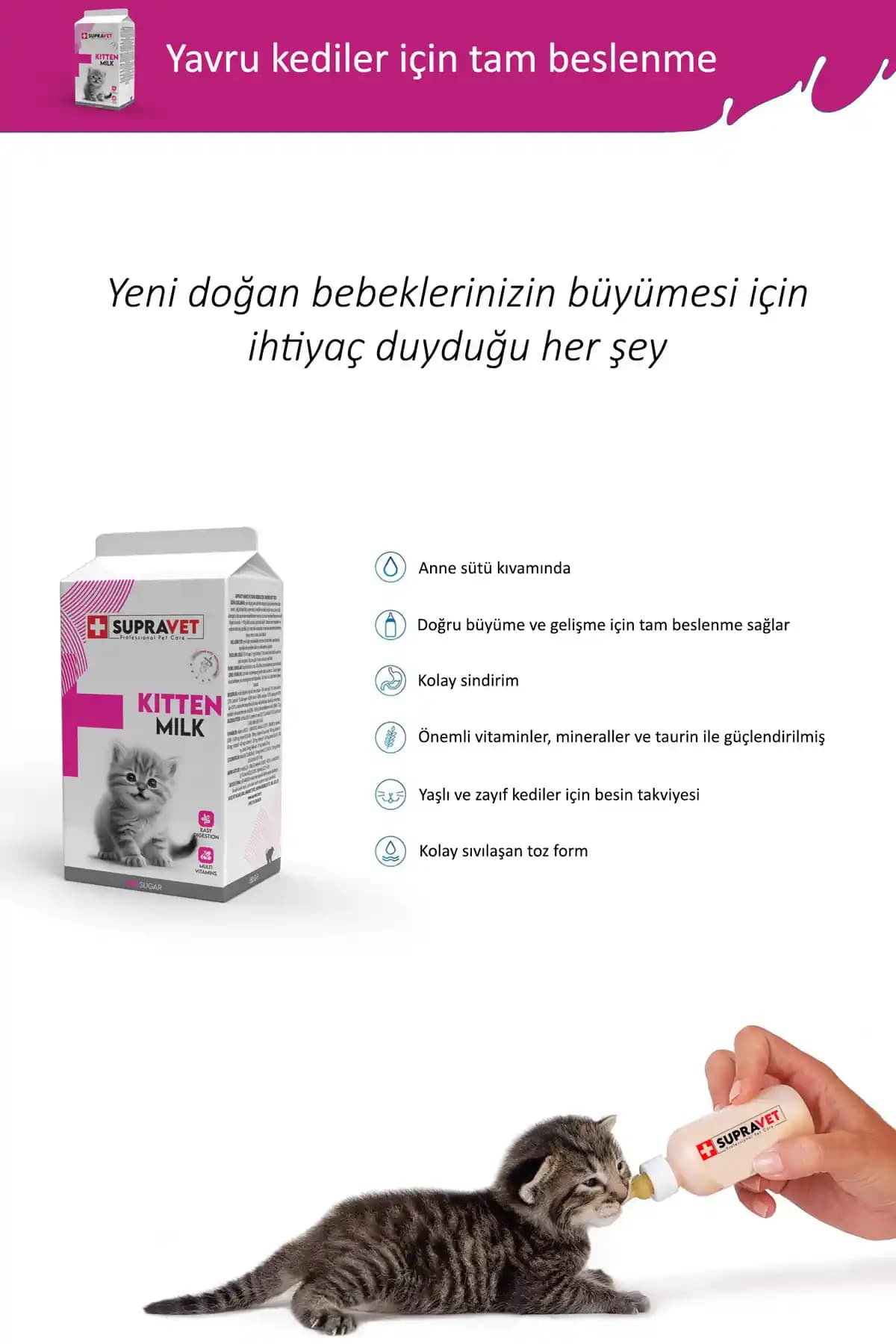 Yavru Kedi Sütü Seçimi ve Doğru Beslenme Yöntemleri Hakkında Bilgiler