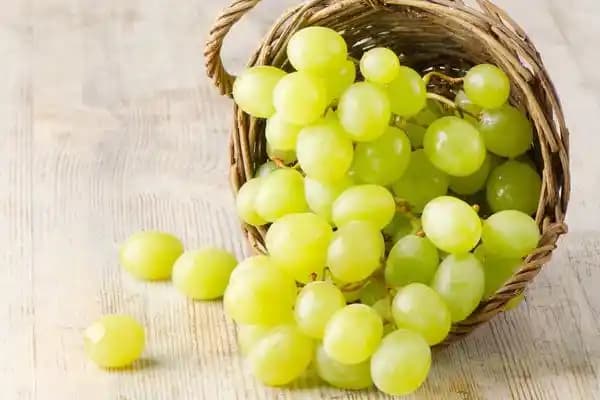 Yeşil Renkli Meyveler: Sağlık ve Lezzet Katacak Doğal Alternatifler