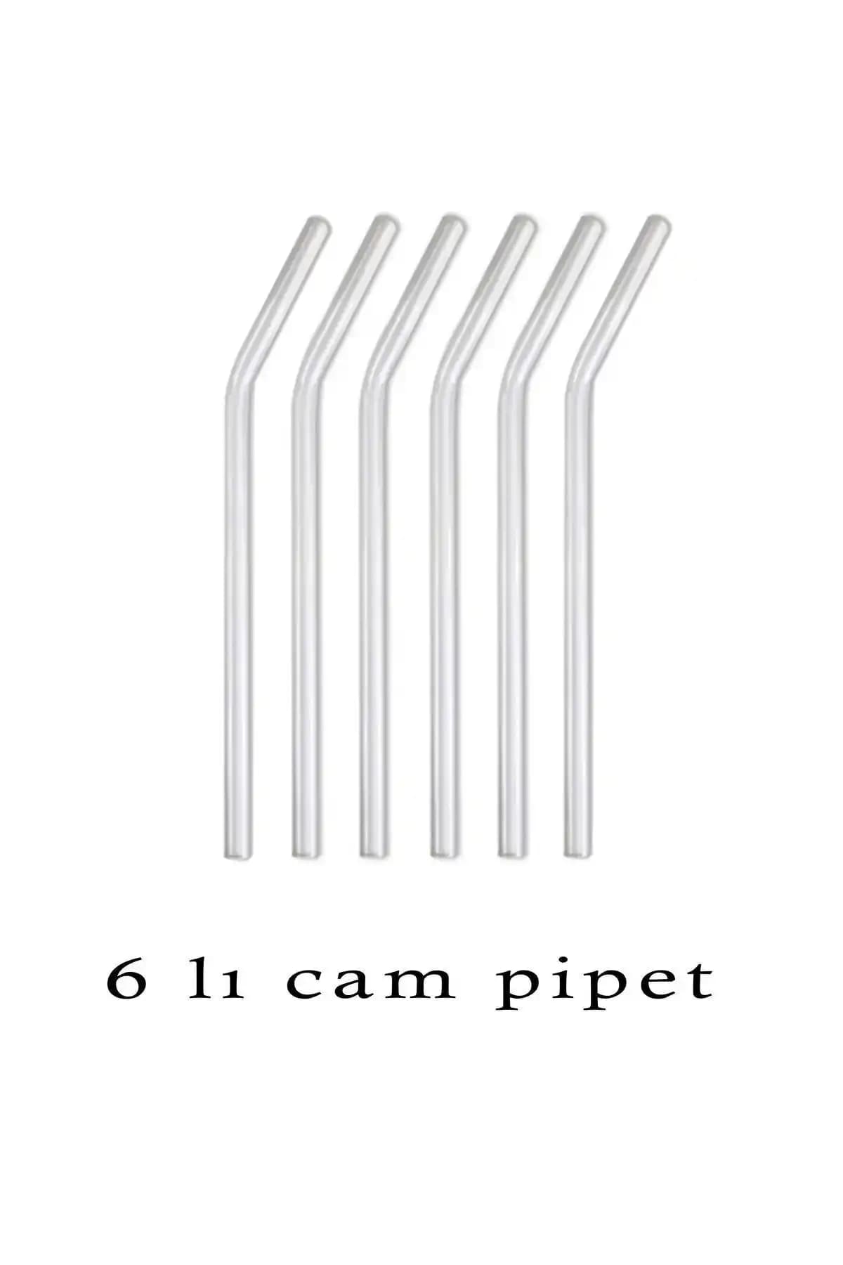 GUEZIA 6'lı Şeffaf Cam Pipet Seti Estetik ve Pratik Kullanım İçin Uygun
