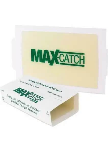 Catch Catchmaster Maxcatch Yapışkanlı Fare Tuzağı: Güçlü ve Pratik Fare Kontrol Çözümü