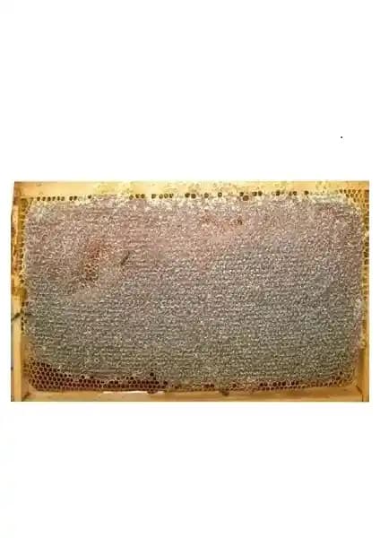 Ozmuş Bal Sivas Kekik Balı: Doğal ve Organik Ürün Özellikleri ve Kullanım Alanları