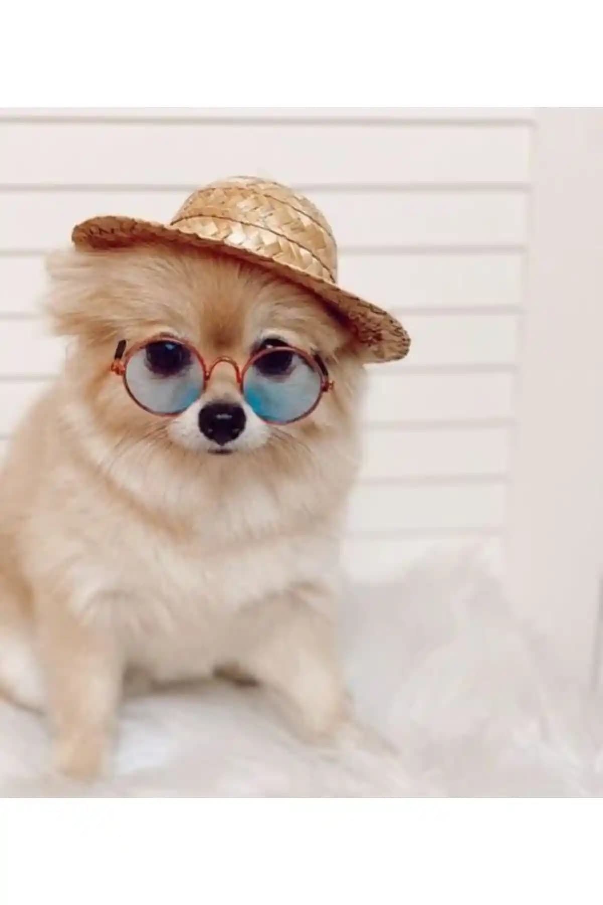 AKTEZ-EL Köpekler İçin Sevimli Rahat Hasır Fötr Şapka: Özellikler, Boyutlar ve Kullanım