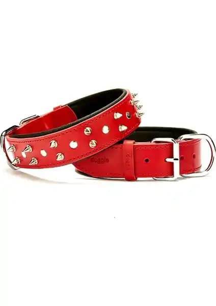 Doggie Çivili Tasma ile Turuncu Dokulu Tasmanın Konfor ve Dayanıklılık Karşılaştırması