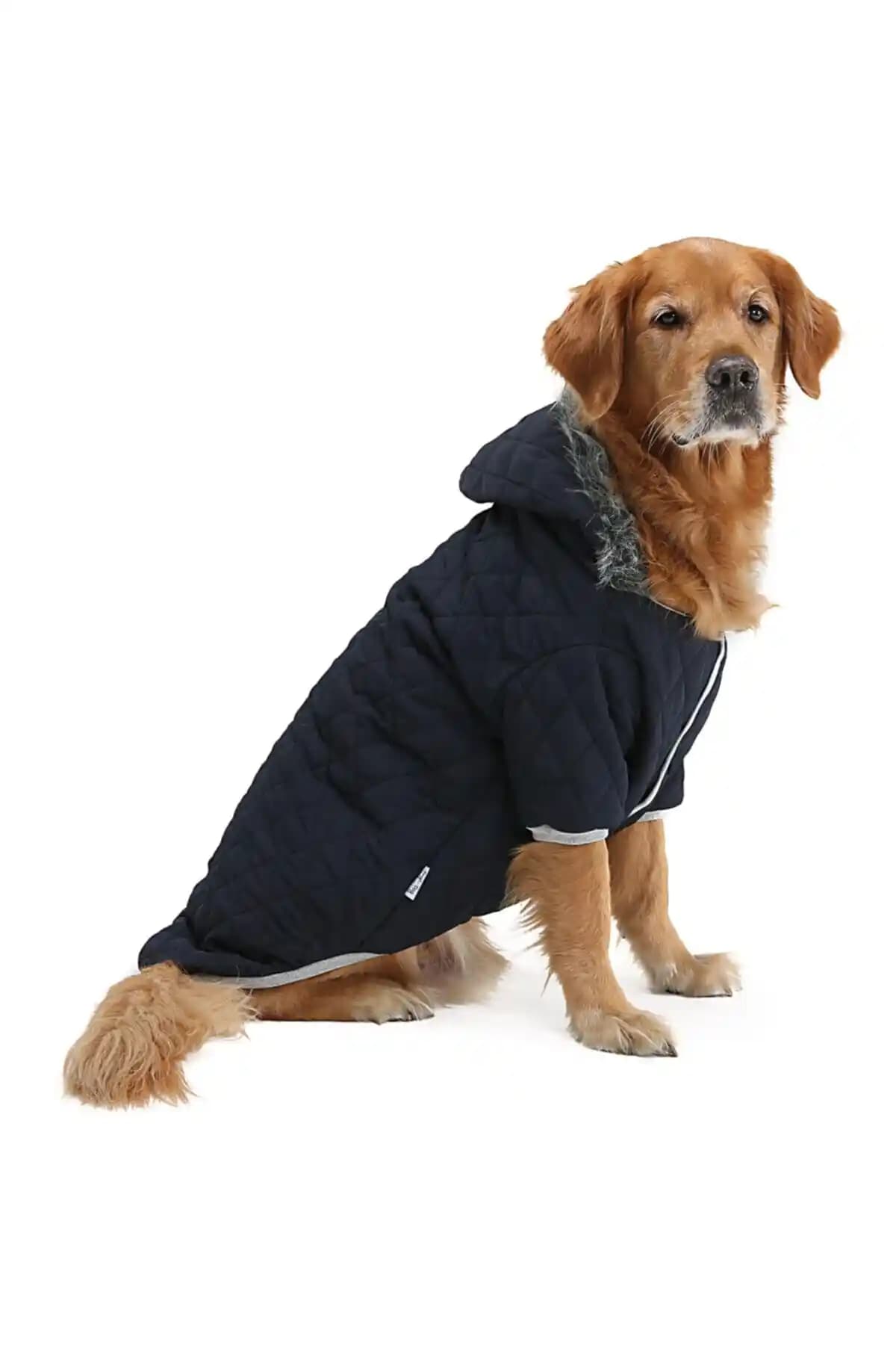 DOGİ&DOG Büyük Irk Laciver Puf Köpek Montu: Su Itici Dış Yüzey ve Kapitone Isı Yalıtımı