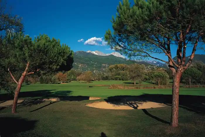 Golf Tartufo Ürünü Hakkında Bilgi Eksikliği ve Tüketici Değerlendirmesi