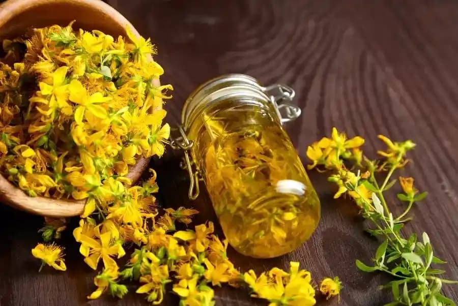 Hamilelikte Sarı Kantaron Yağı Kullanımı: Güvenlik ve Bilinmeyenler Hakkında Bilgi