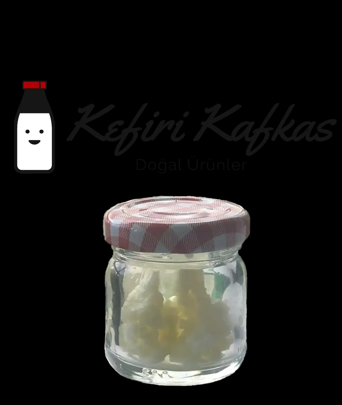 Kafkas Kefir Mayası: Mevcut Bilgi Durumu ve Araştırma Gereksinimleri