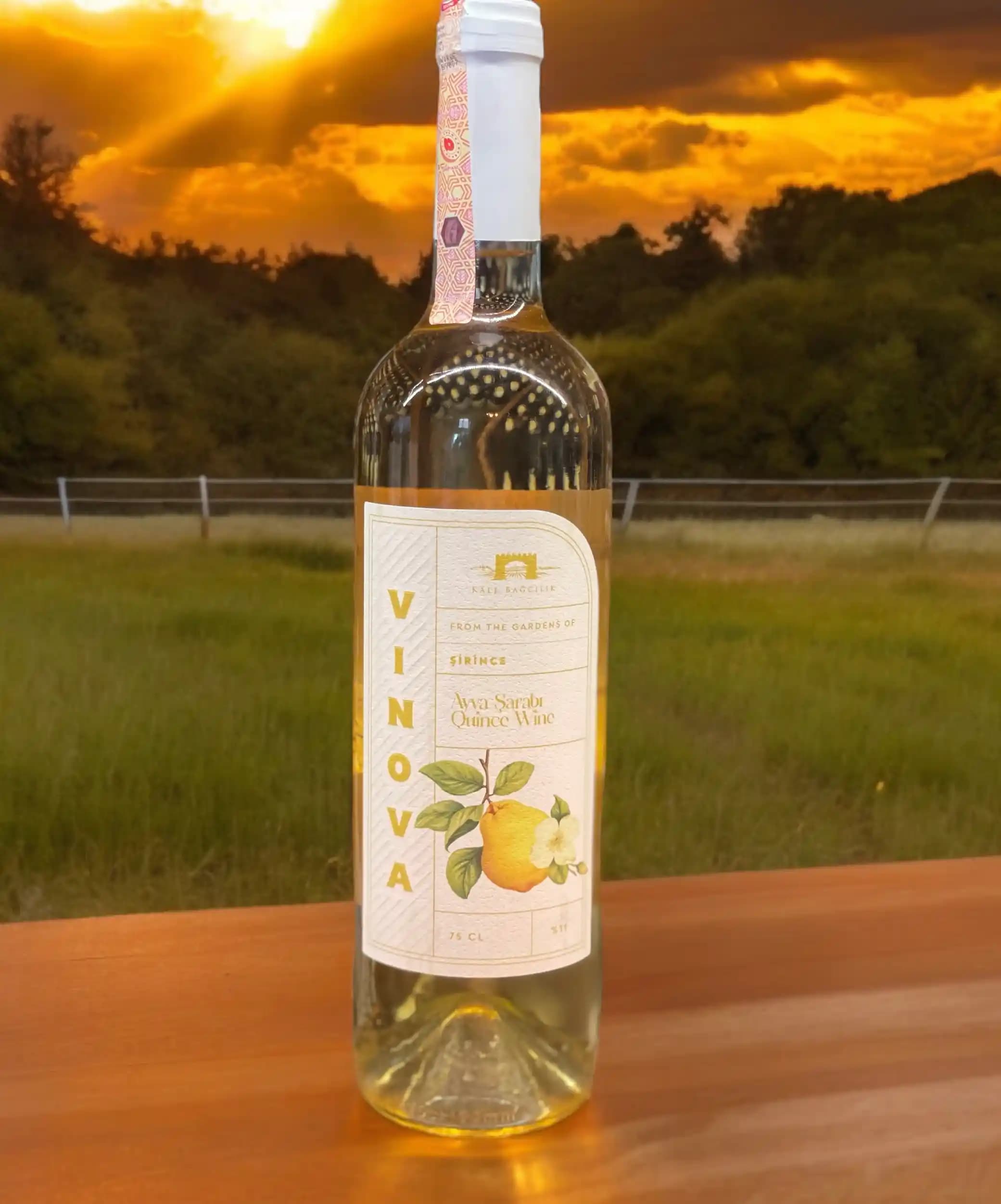 Kavunlu Şarap: Mevcut Arama Sonuçları ve İçerik Analizi Üzerine İnceleme