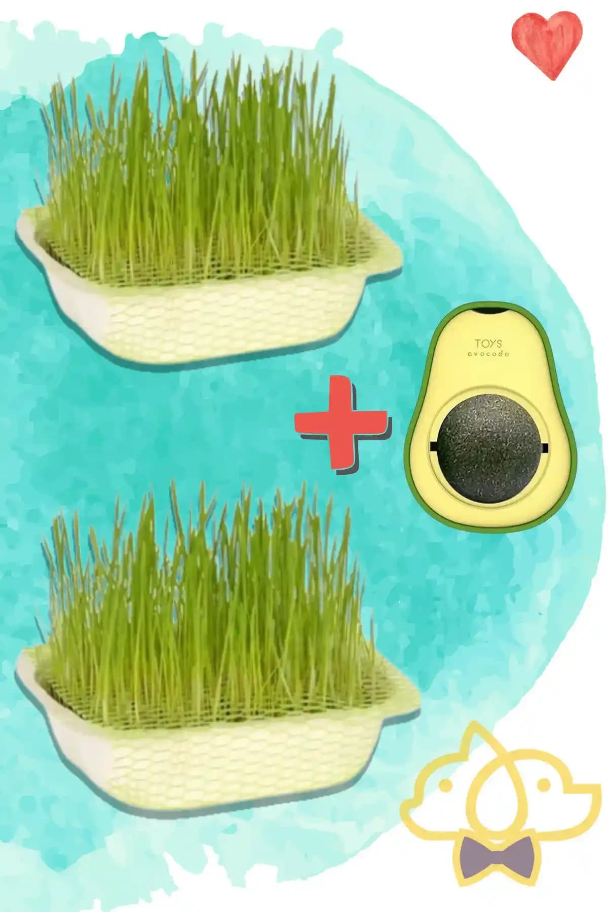 Kedi Çimi ve Avokado: İstanbul Sokak Kedileri İçin Doğal ve Zararlı Beslenme Seçenekleri