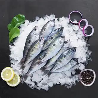 Migros Sanal Market Balık Ürünleri: Mevcut Verilerle Genel Değerlendirme ve Bilgi Eksikliği