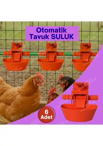 Mutlu Tavukçuluk 6 Adet Otomatik Suluk: Çoklu Kuş Türleri İçin Pratik ve Güvenilir Su Sistemi