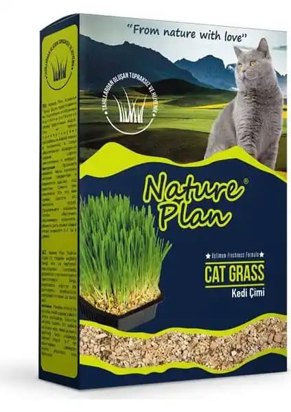 Nature Plan Premium Kedi Çimi: Hijyenik Çimle Tüy Yumağı Kontrolü ve Sindirim Desteği