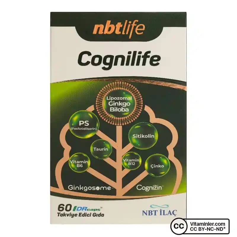 Padlet: Eğitim ve Görsel İşbirliğinde Dijital İçerik Organizasyonunda Etkili Çözüm